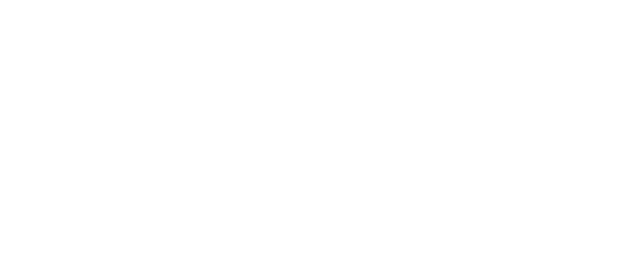 Wordmark in white